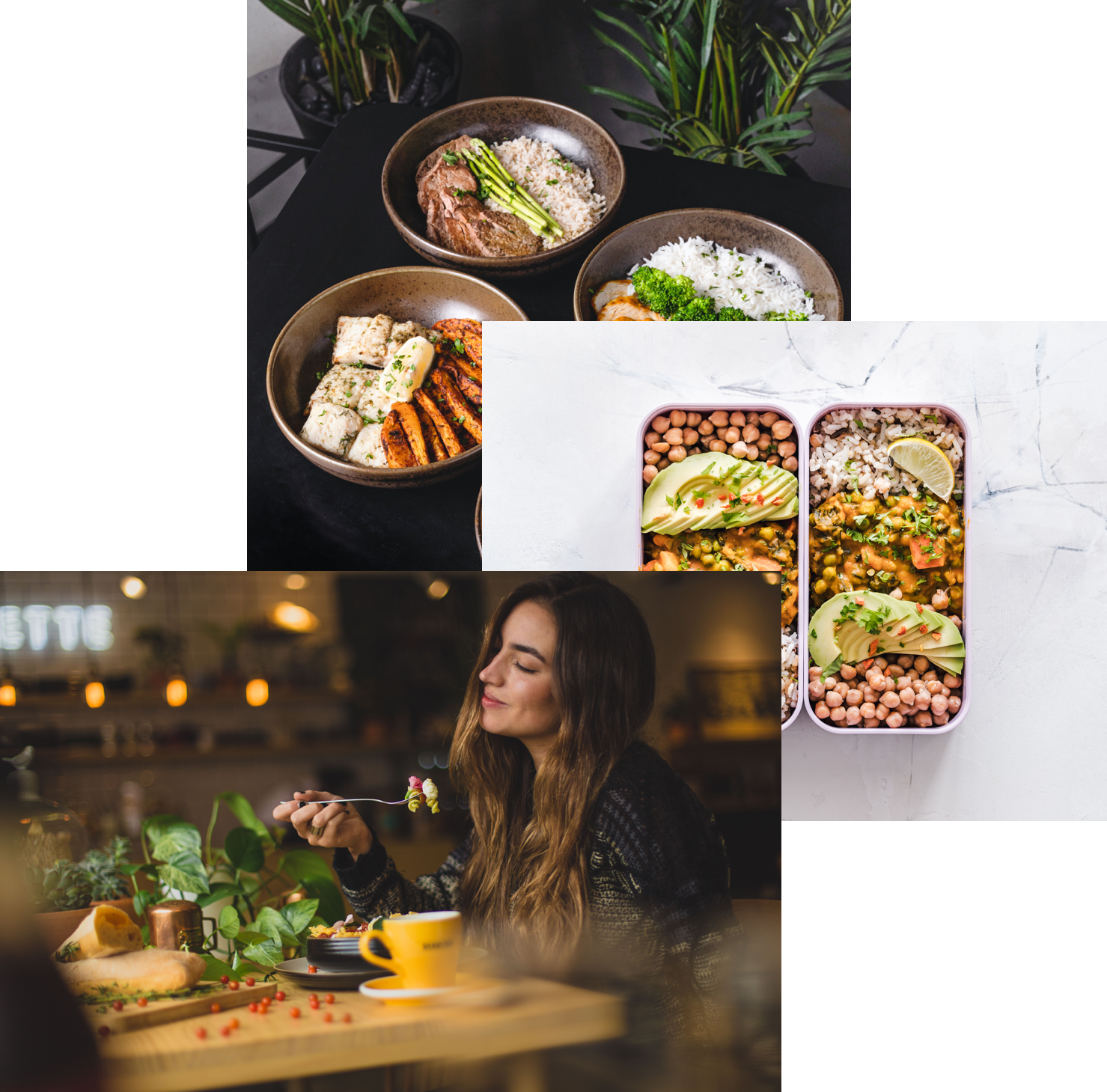 collage of images
